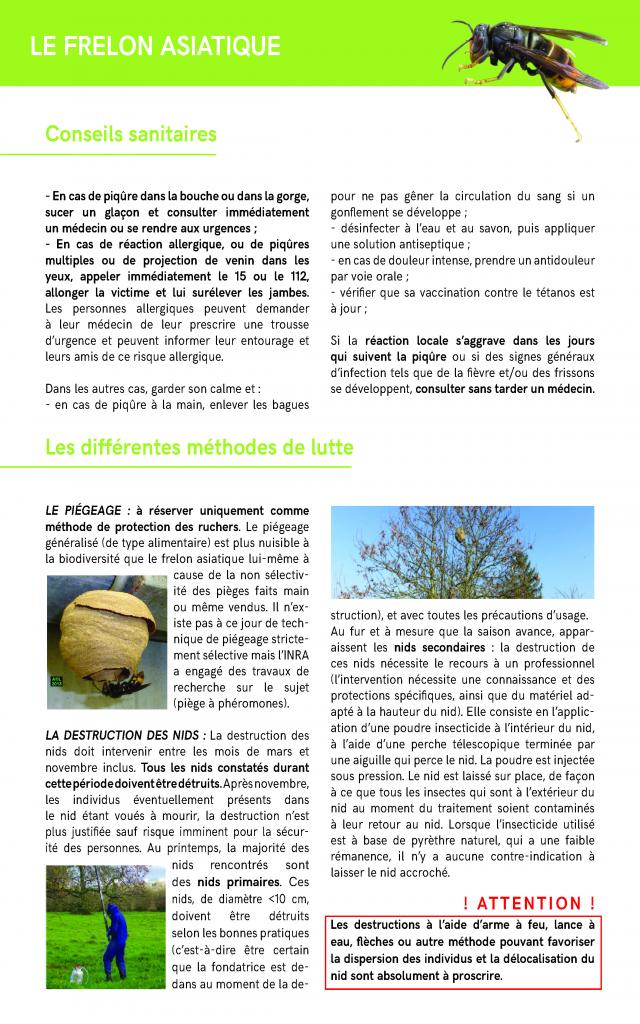 Ars Normandie Frelons Page 5