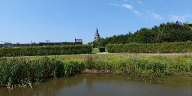 Flocques Le Sentier Des Mares 1