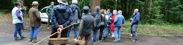 Randonnees Circuits Balades Promenades Communaute De Communes Des Villes Soeurs