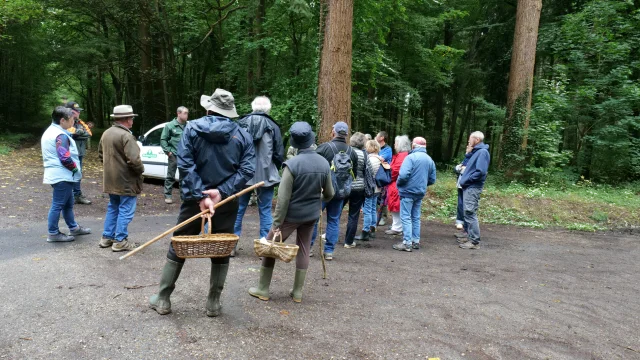 Randonnees Circuits Balades Promenades Communaute De Communes Des Villes Soeurs